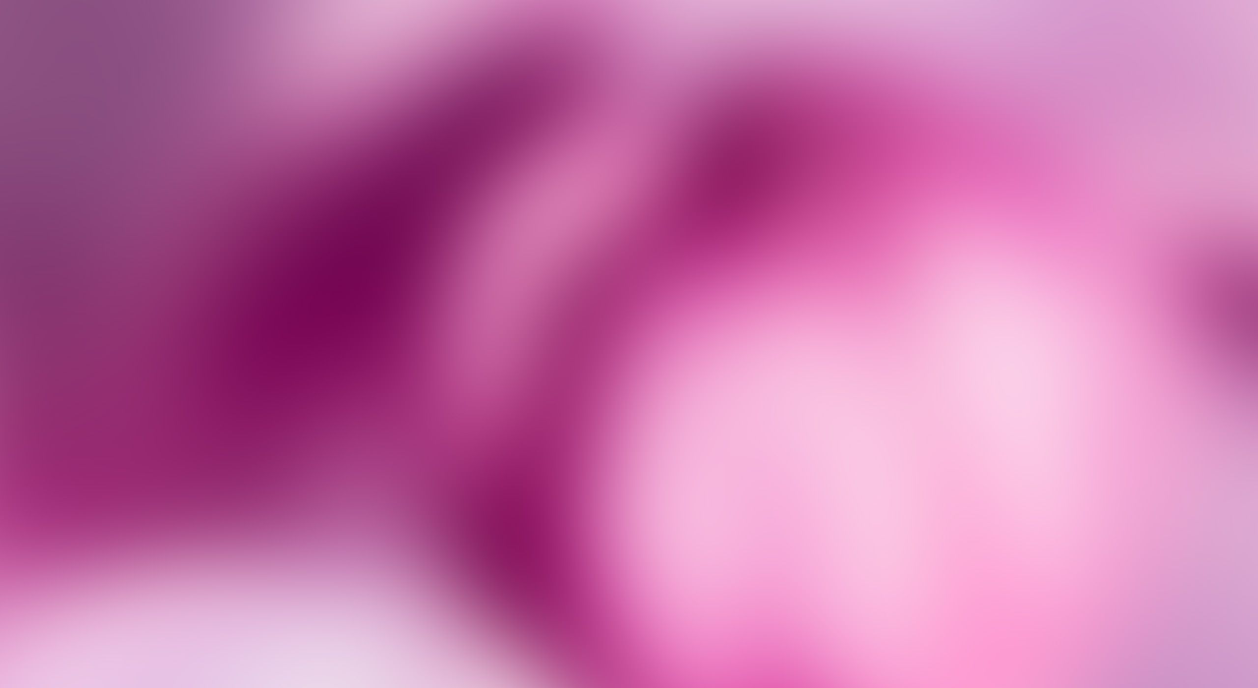 Fachwerkhaus mit Café-Terrasse, Stühle und Tische im Freien, bei blauem Himmel und roten Sonnenschirmen.Half-timbered house with café terrace, chairs and tables outside, under a blue sky and red parasols.Bindingsværkshus med caféterrasse, stole og borde udenfor, under en blå himmel og røde parasoller.Vakwerkhuis met caféterras, stoelen en tafels buiten, onder een blauwe hemel en rode parasols.