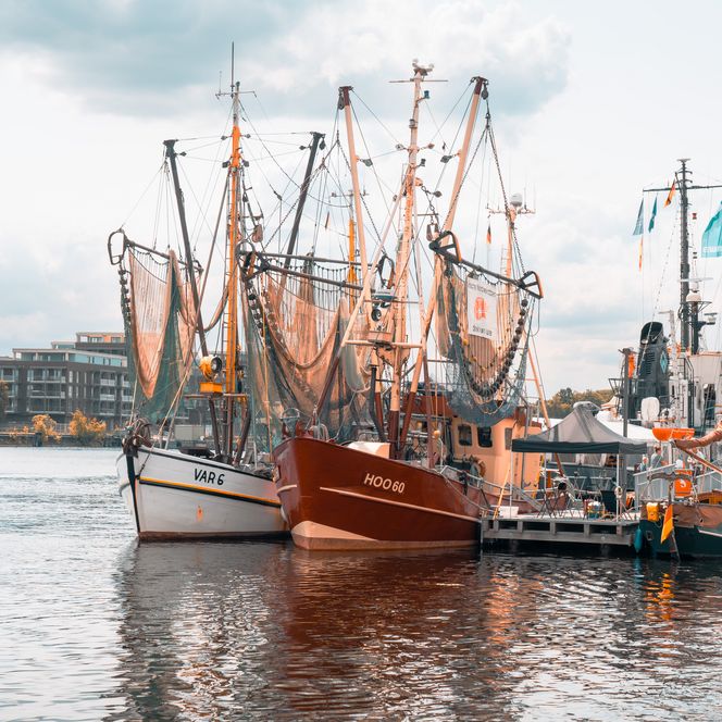 Fischkutter beim Wochenende an der Jade Wilhelmshaven