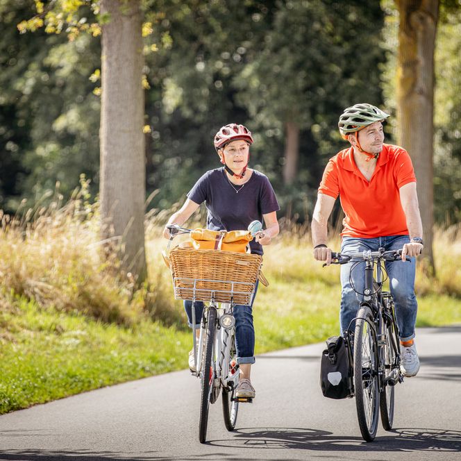 Zwei Personen fahren auf einer sonnigen Allee mit Fahrrädern, umgeben von hohen Bäumen.