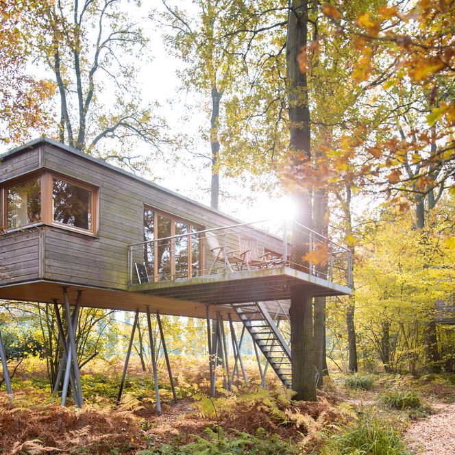 Baumhaus Resort Baumgeflüster