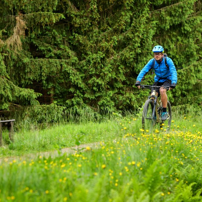Mountainbiker im Harz