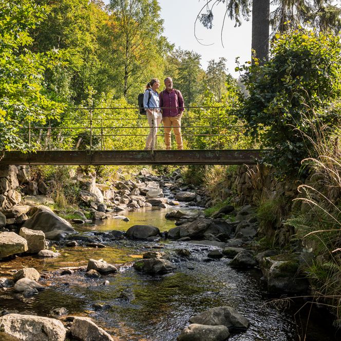Wanderer bei Bad Harzburg