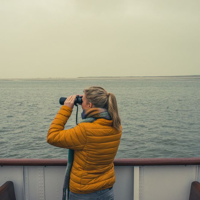 Bootstour zur Beobachtung von Zugvögeln und Wildgänsen 