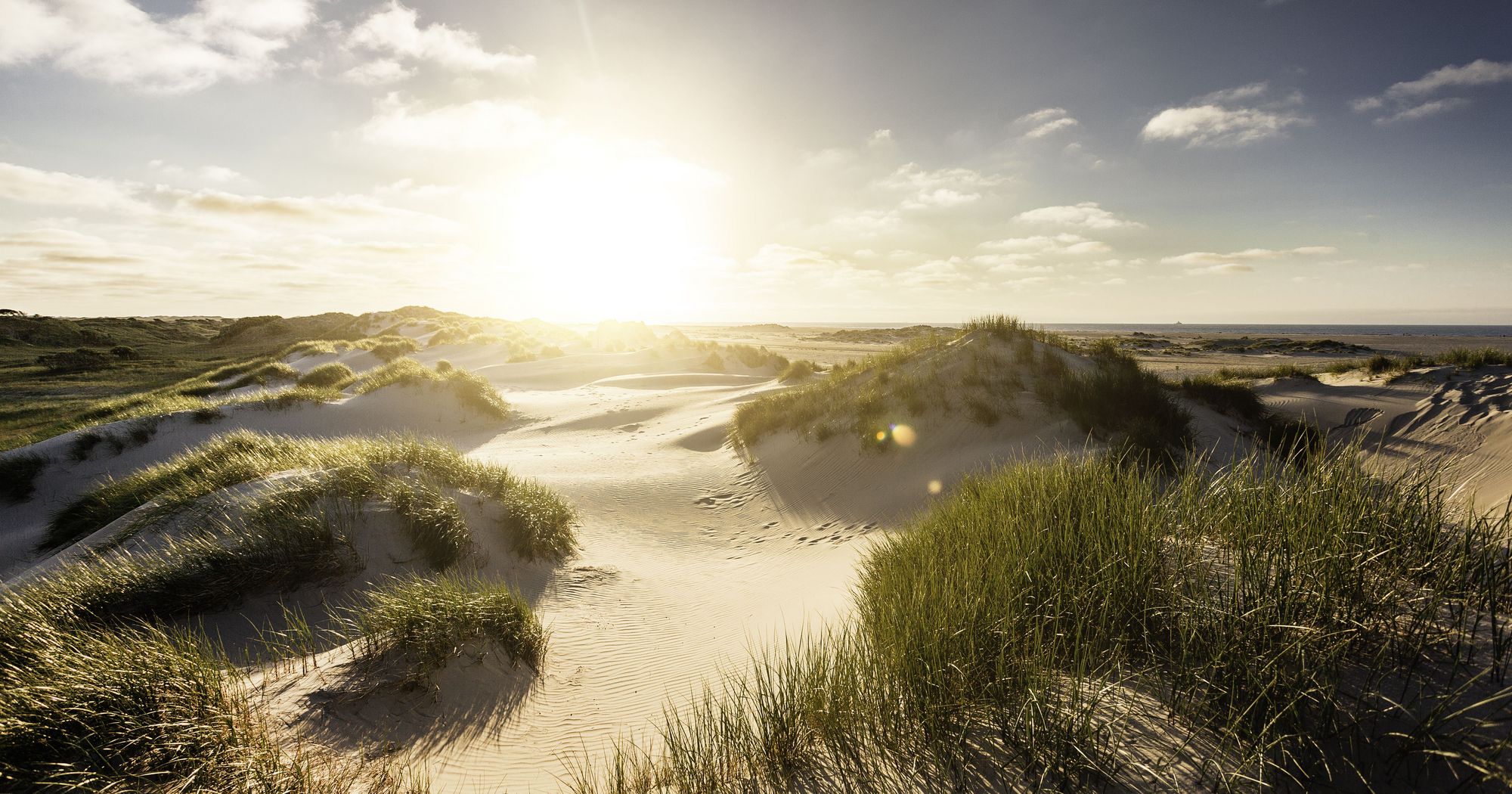 Screenshot of Vakantieland Nedersaksen