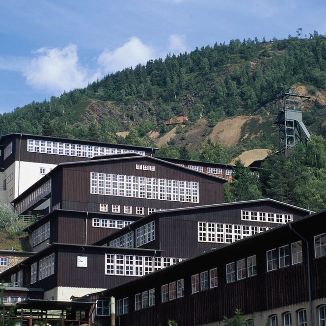 Ansicht Rammelsberg mit Wald im Hintergrund
