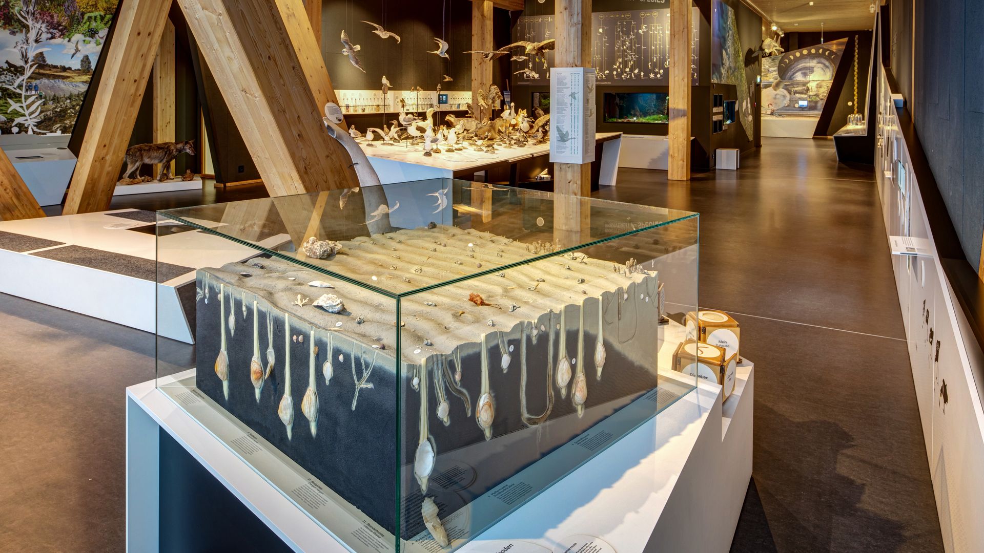 UNESCO-Weltnaturerbe Wattenmeer-Besucherzentrum Cuxhaven