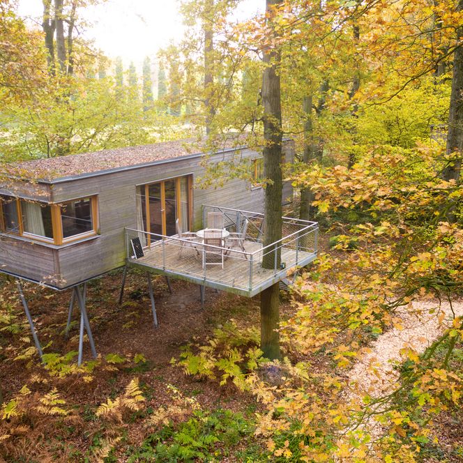 Ein Baumhaus des Resort Baumgeflüster