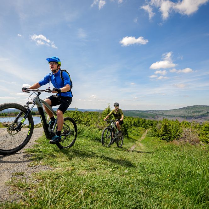 Mountainbiker auf einer Strecke im Harz