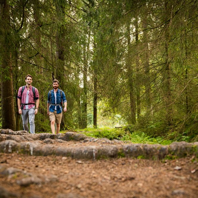 Wanderer am Spiegelthaler Teich