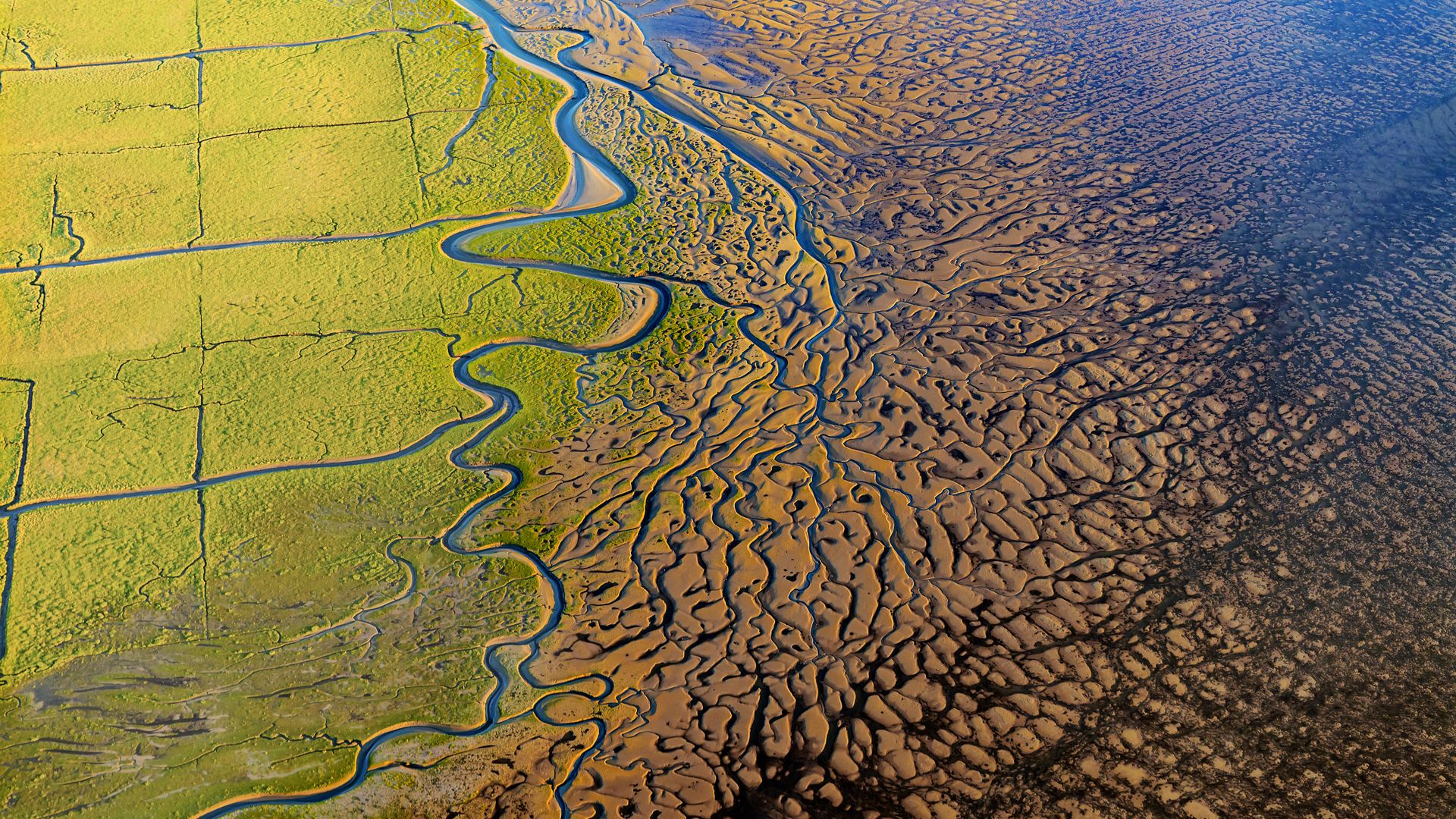 Vadehavet i fugleperspektiv