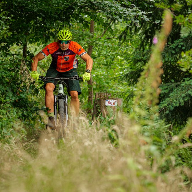 Mountainbiker im Wald