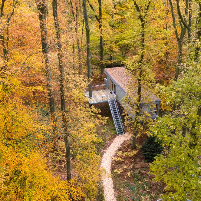 Drohnenaufnahme des Resort Baumgeflüster