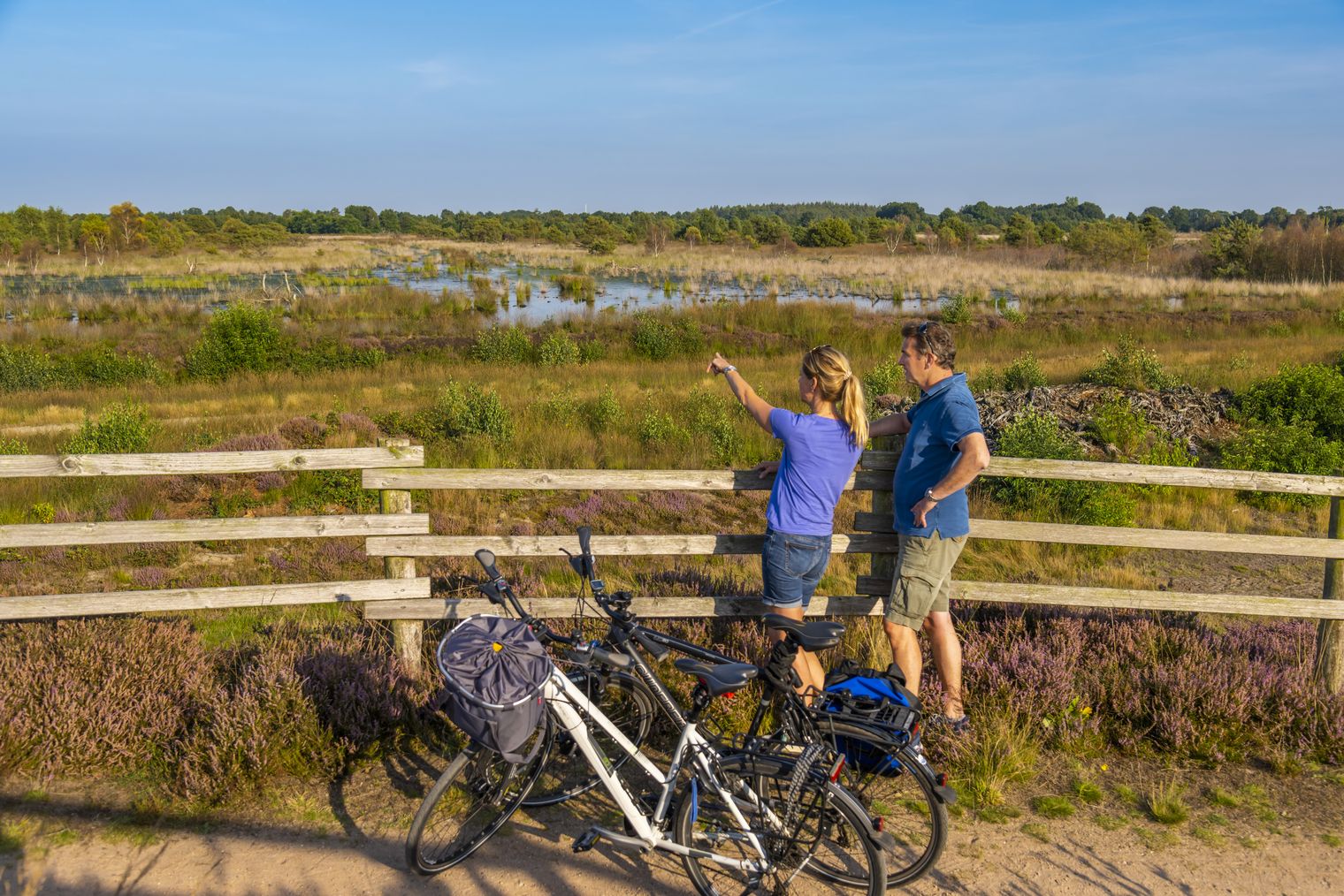 Twee fietsers bewonderen het bloeiende heidelandschap in het Dalum-Wietmarscher Moor bij Geeste.