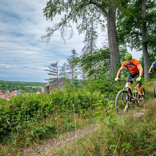 Zwei Mountainbiker bei einer Abfahrt im Harz