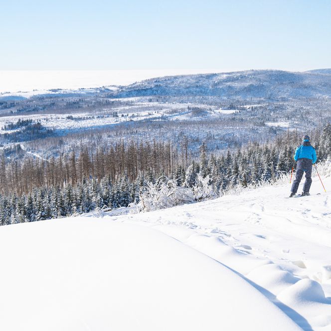 Skifahrer steht auf dem Wurmberg.