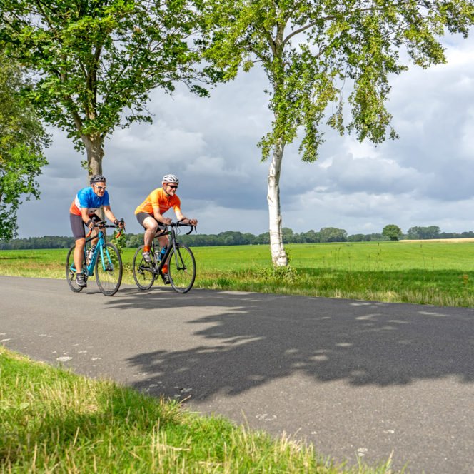 Unterwegs durch die Gnarrenburger Landschaft