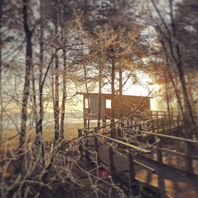 Een van de twee uitkijktorens in het Tister Bauernmoor