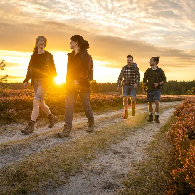 Wanderer in der Lüneburger Heide 