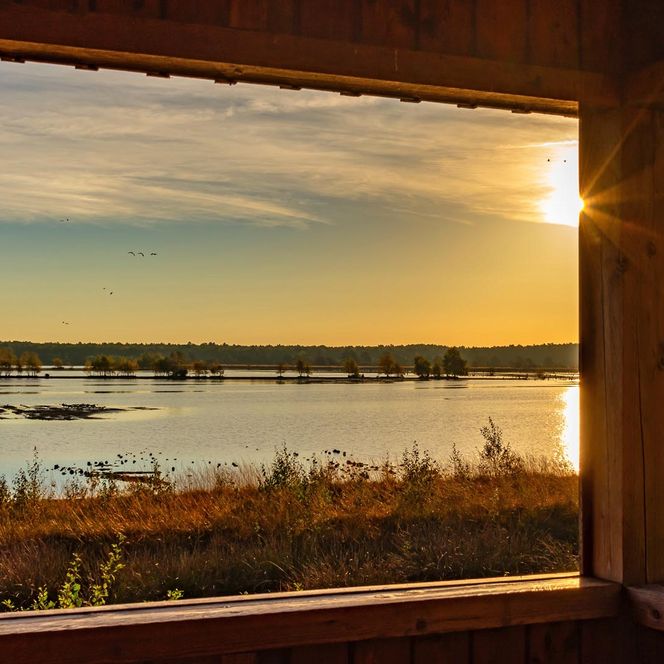 Ausblick vom Beobachtungsturm des Tister Bauernmoores