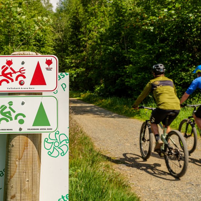 Mountainbiker im Harz