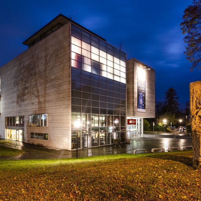 Roemer-Pelizaeus Museum