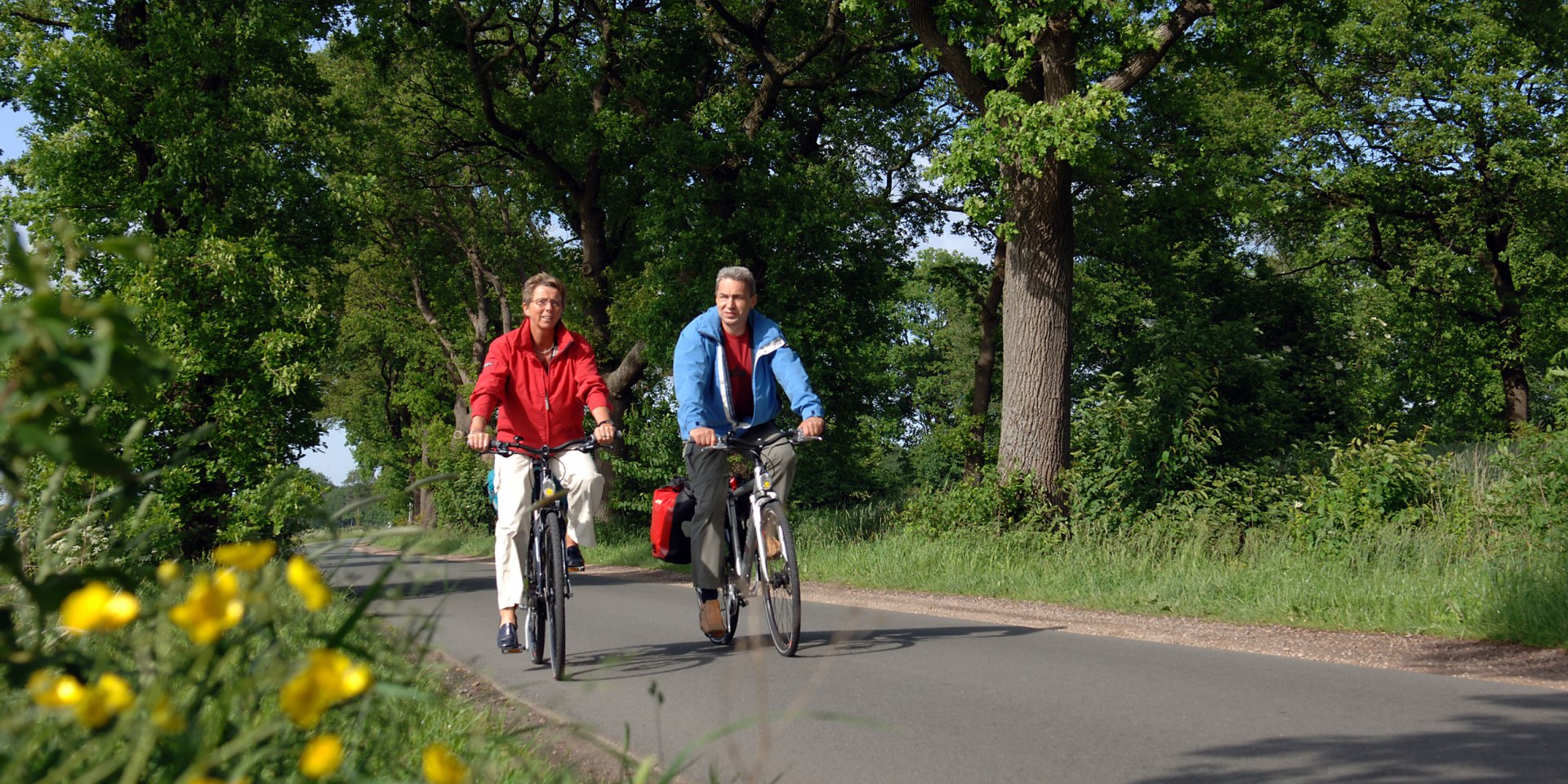 Fietser op laan, © Ammerland-Touristik / Tobias Trapp