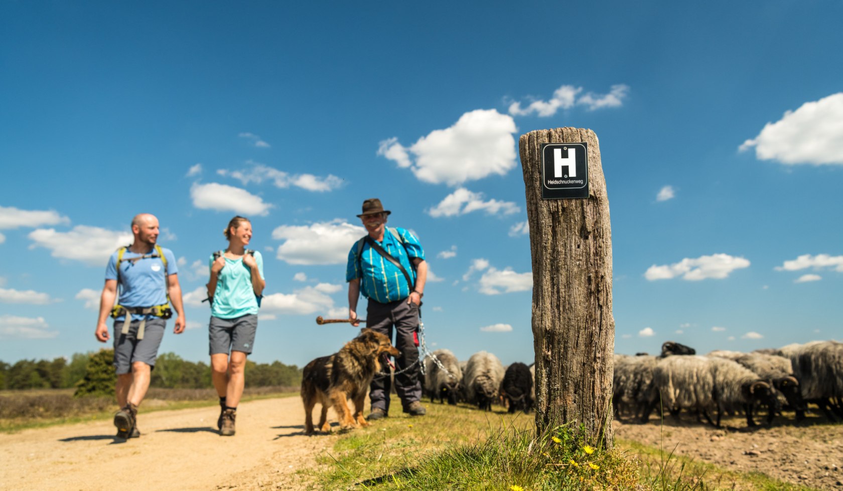 Wandelaars ontmoeten een herder in de Lüneburger Heide , © Lüneburger Heide GmbH