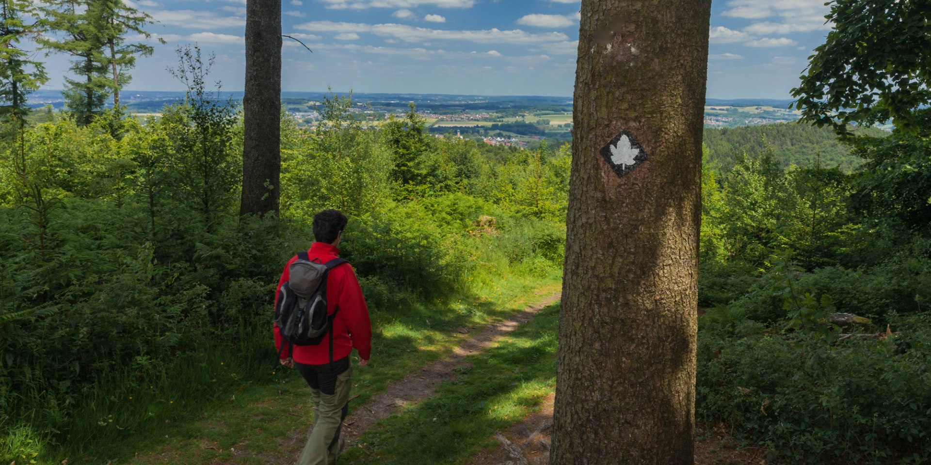 Ahornweg, © Natur- und Geopark TERRA.vita