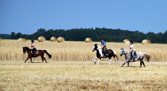 Reitferien auf dem Reiterhof Schulz , © Reiterhof Schulz