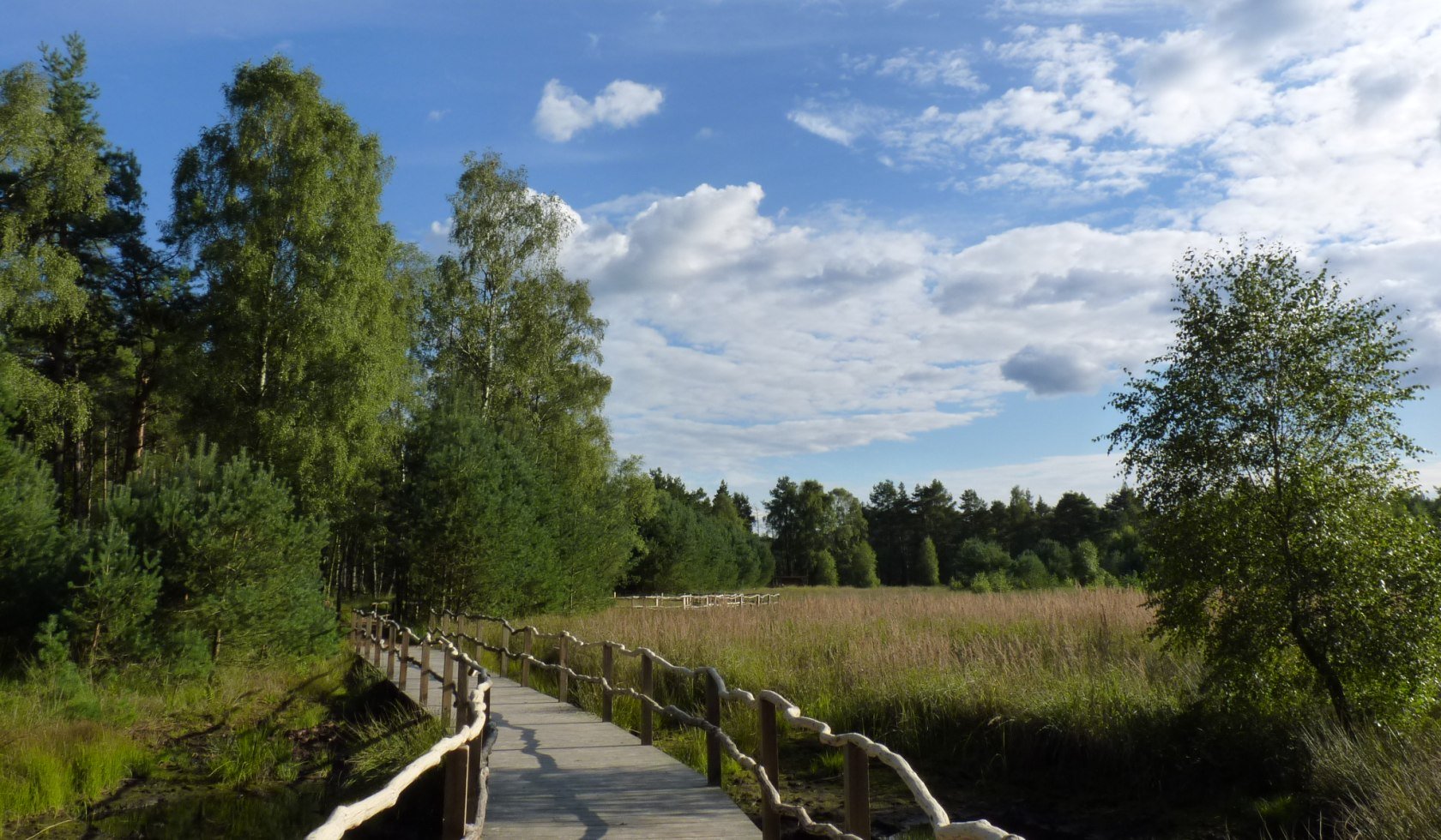 Voetgangersbrug door de Dör't Moor, © Touristikverband Landkreis Rotenburg (Wümme)