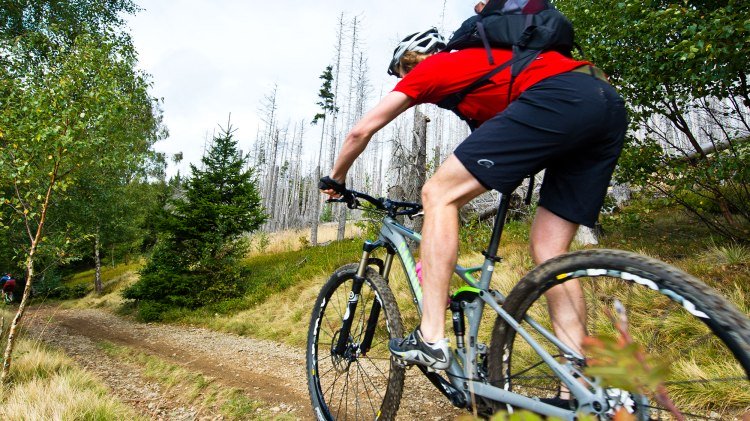 Mountainbiker rijdt op een onverharde weg, © TMN/Maruba b.V. Sports Publishers