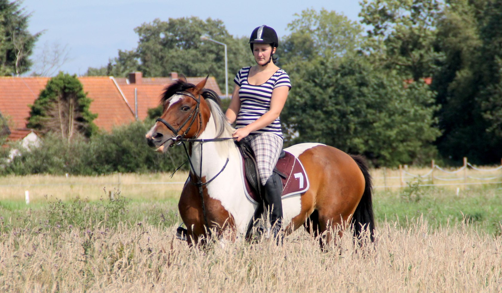 Paard en ruiter, © Arbeitsgemeinschaft Urlaub und Freizeit auf dem Lande e.V. Niedersachsen