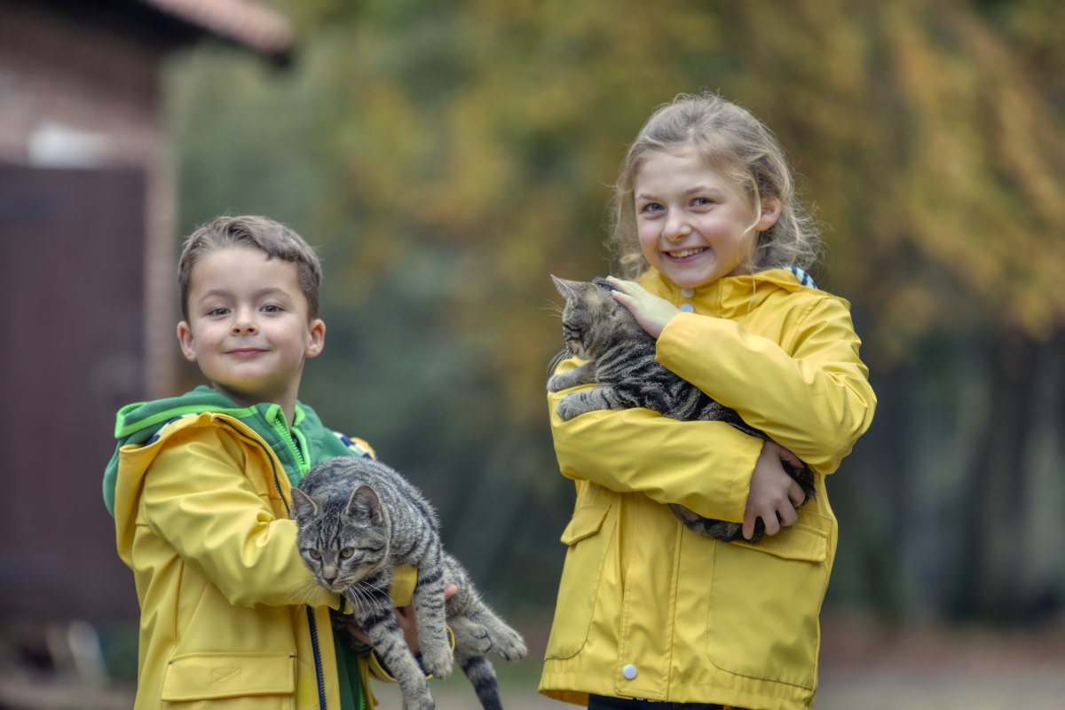 Kleine jongen en meisje met katten op hun arm glimlachen naar de camera, © TourismusMarketing Niedersachsen GmbH / Christian Bierwagen
