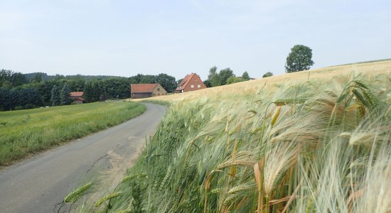 Friedensroute Münster-Osnabrück, © Tourismusverband Osnabrücker Land e.V.
