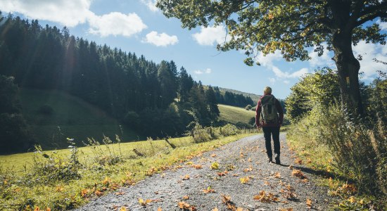 Wandelen in de Weserbergland, © TourismusMarketing Niedersachsen GmbH / German Roamers / Johannes Becker
