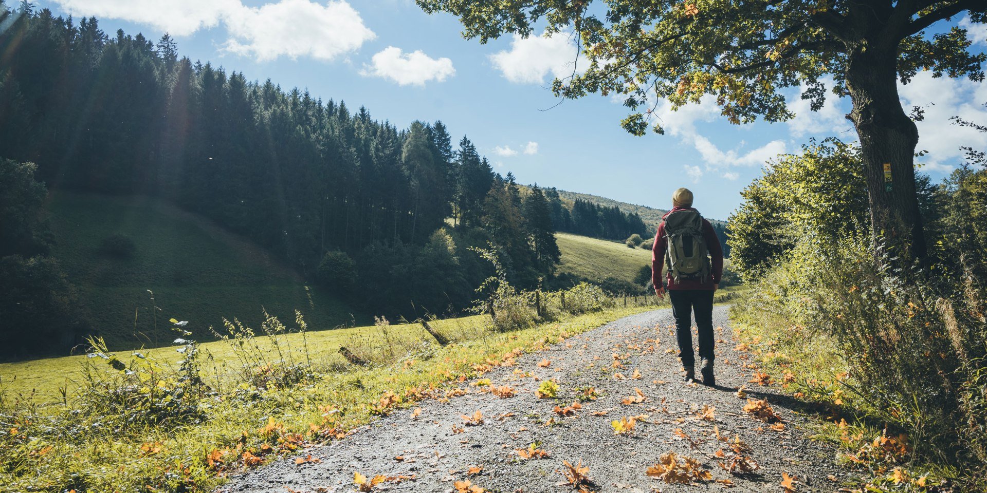 Wandelen in de Weserbergland, © TourismusMarketing Niedersachsen GmbH / German Roamers / Johannes Becker