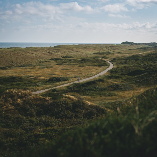 Fietspad op Langeoog, © TMN/ Max Fischer 