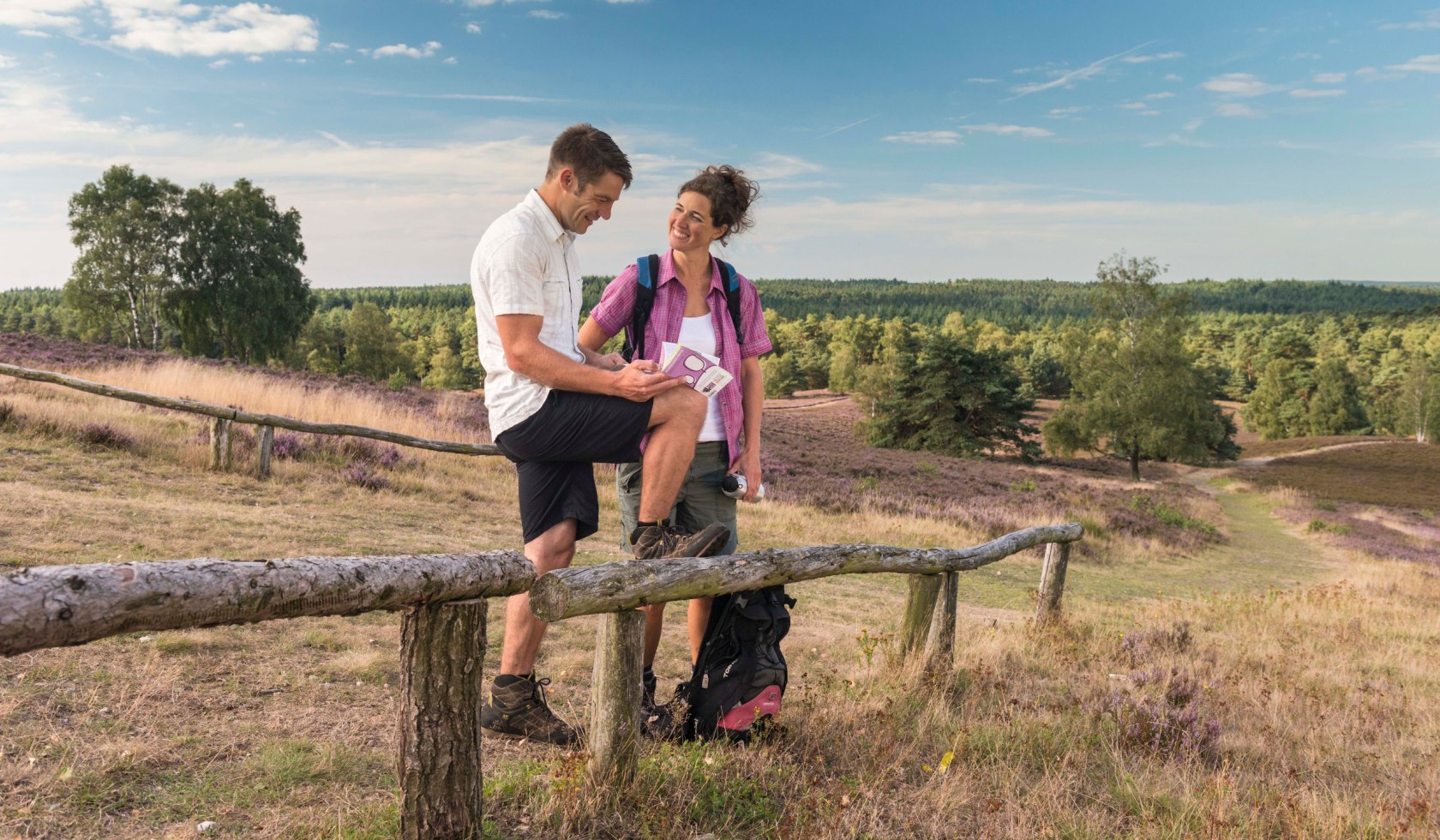 Brunsberg, © Lüneburger Heide GmbH / Dominik Ketz