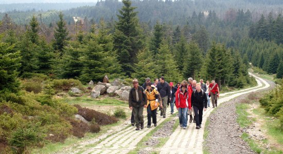 Am Kolonnenweg, © Harzer Tourismusverband