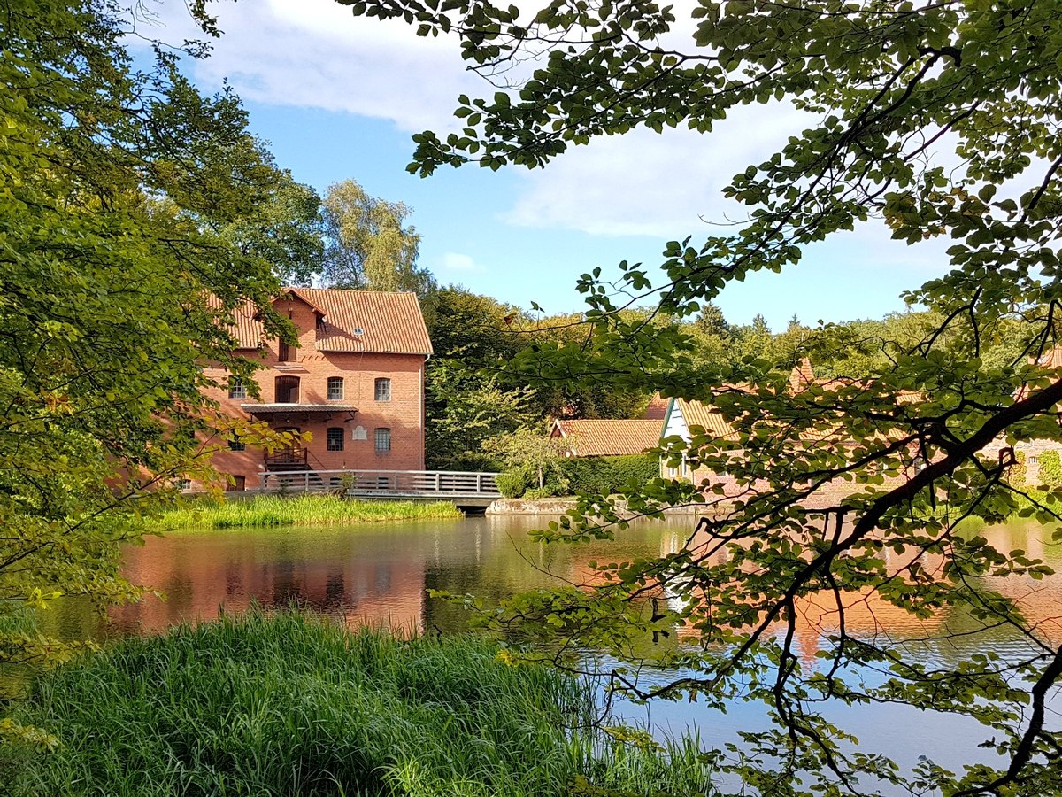 Wandeling watermolen, © TourismusMarketing Niedersachsen GmbH/Wanda Catsman