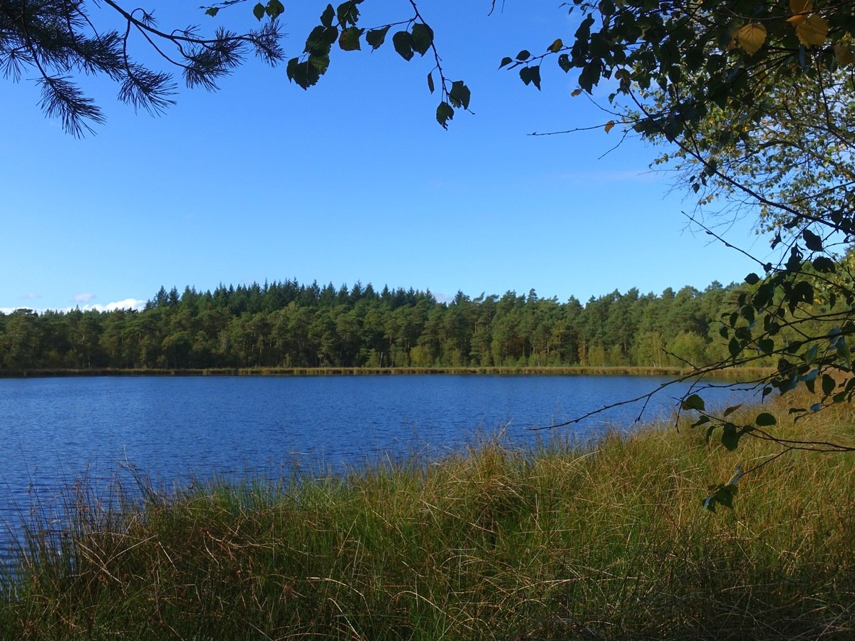 Wandeling zweden, © TourismusMarketing Niedersachsen GmbH/Wanda Catsman