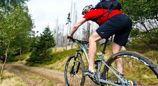 Mountainbiker rijdt op een onverharde weg, © TMN/Maruba b.V. Sports Publishers