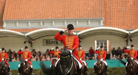 Reite auf Pferd, © Landgestüt Celle