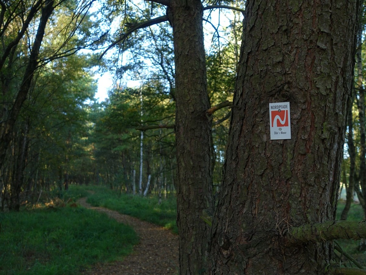 Markering , © TourismusMarketing Niedersachsen GmbH/Wanda Catsman