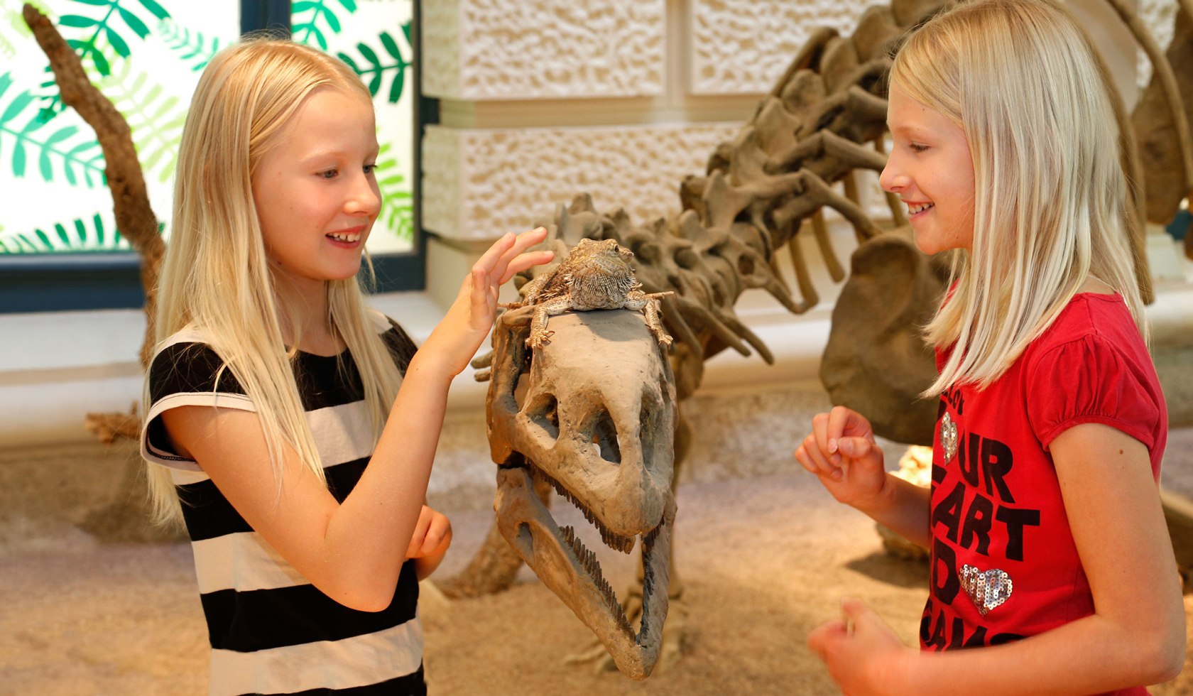 Bezoek aan de natuurwerelden, © Landesmuseum Hannover