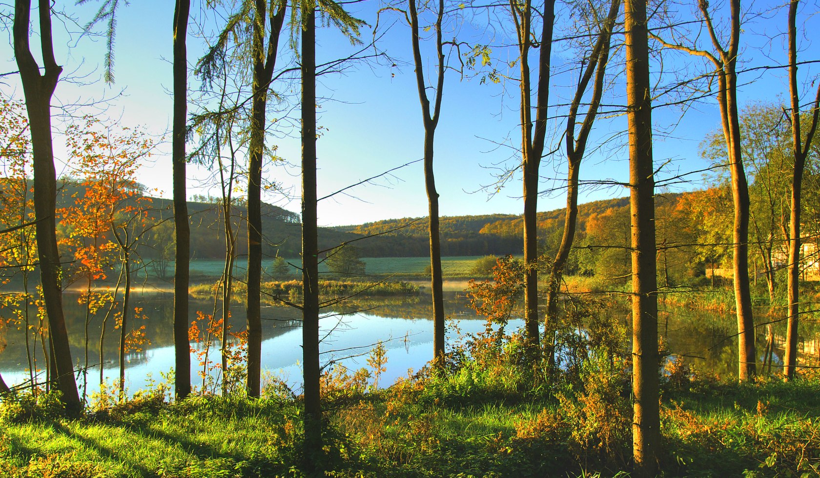 Herfststemming in Reitlingstal, © Naturpark Elm-Lappwald/ Ulrich Scheithauer