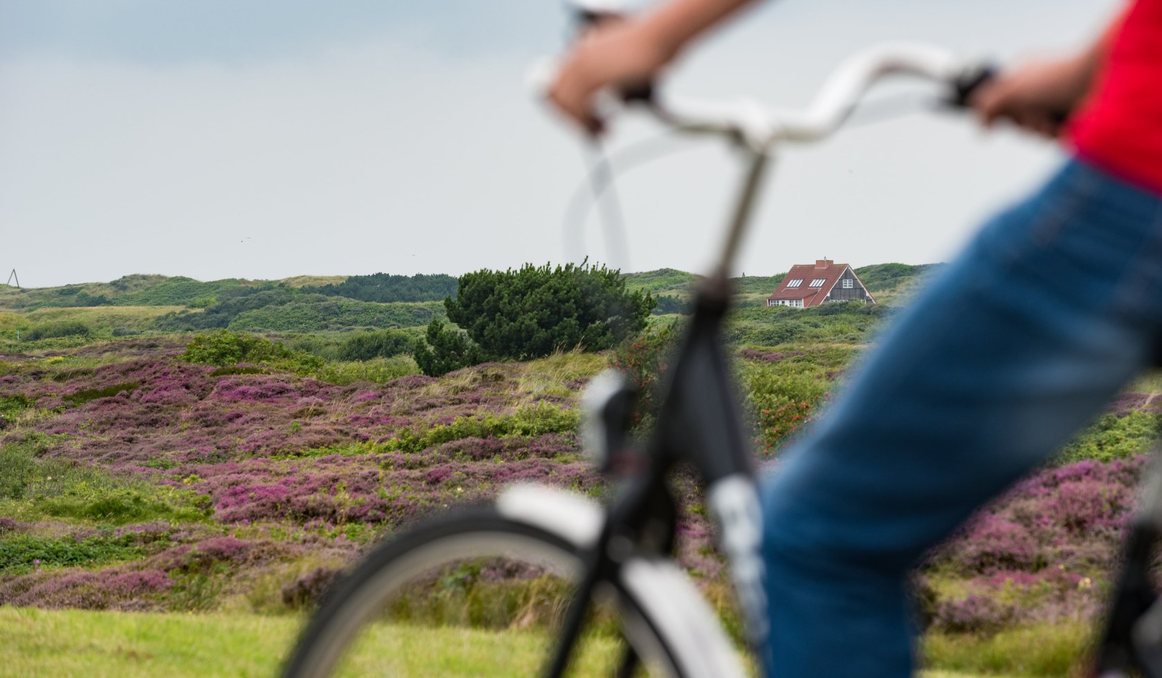 Fiets op Wangerooge, © Kurverwaltung Wangerooge / Kees van Surksum