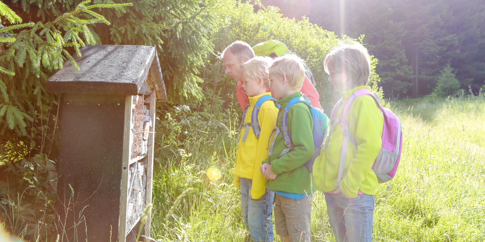 Wandelen in de Harz, © Stadtmarketing Bad Harzburg