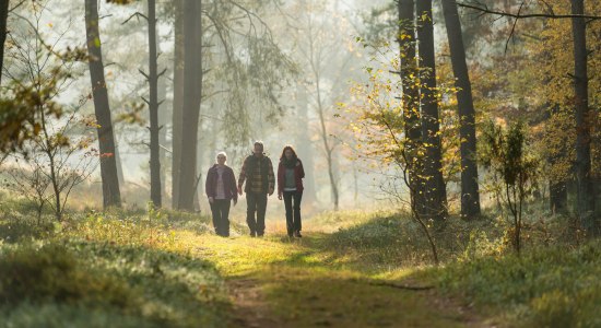 wandelen in de Tiefental NL, © Lüneburger Heide GmbH/ Dominik Ketz