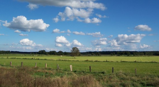 Wümme-Radweg, © Touristikverband Landkreis Rotenburg zwischen Heide und Nordsee e.V./ P. Welz